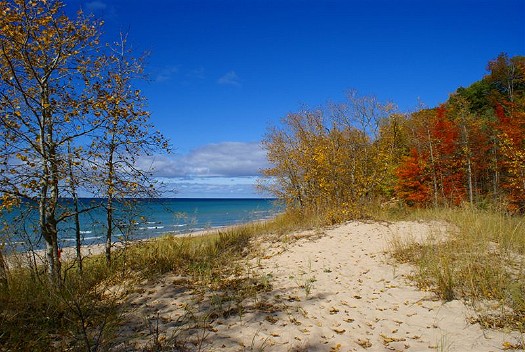 Autumn on the Lakeshore: B-132