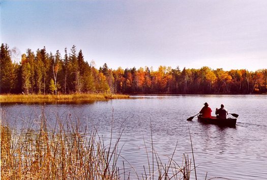 Autumn in Benzie County : D-161