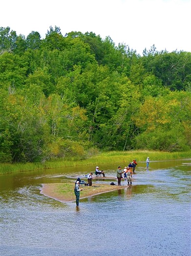 Salmon Run on the Betsie: F-201