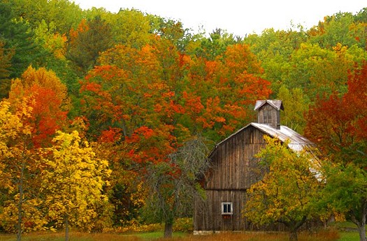 October in Leelanau County: G-219