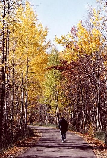 The Betsie Valley Trail in Autumn: I-537