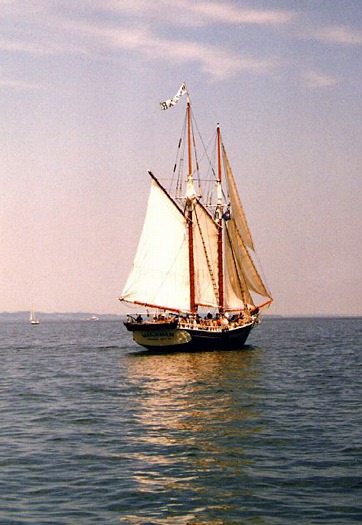 Schooner Malabar: J-564