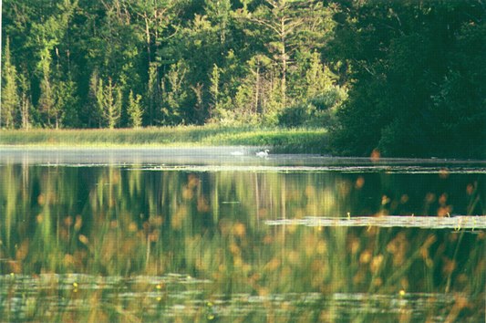 Northern Michigan Summer Morning: K-255