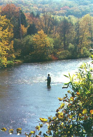 Flyfishing on the Betsie: M-296