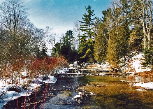 Winter on Otter Creek: O-334