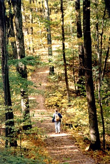 The Trail to Empire Bluffs: P-339