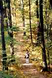 The Trail to Empire Bluffs: P-339