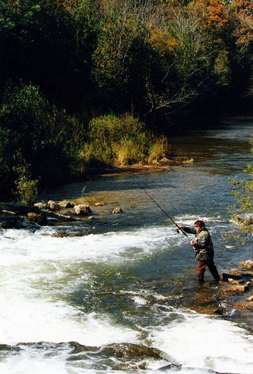 Fishing at Homestead Dam: P-350