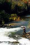 Fishing at Homestead Dam: P-350