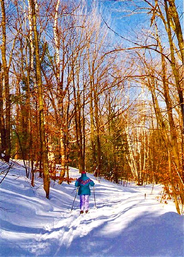 Ski Trails in Sleeping Bear: Q-362