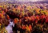 Autumn on the Manistee: R-372