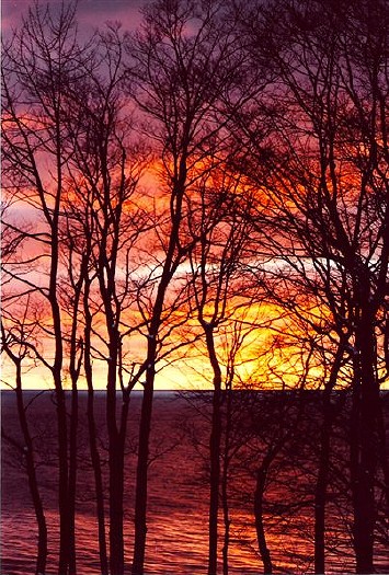 Memorable Winter Sunset: R-377