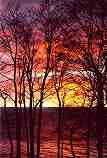 Memorable Winter Sunset: R-377