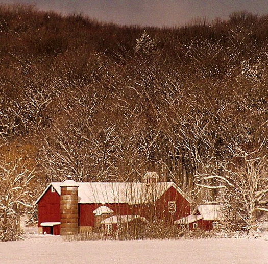 Winter on the Farm: R-379