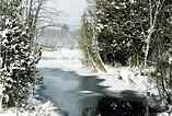 Winter Along Ellis Creek: R-382