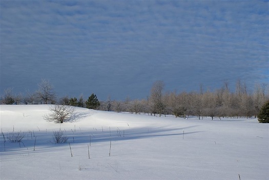 Blue Sky Over White Snow: R-384