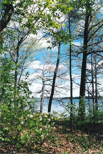 Spring Arrives on Green Lake: S-392