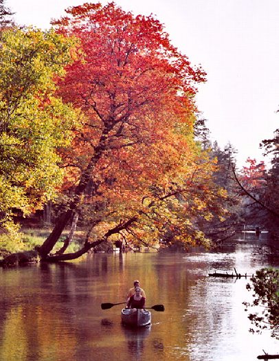 Canoeing on the Crystal River: Z-526