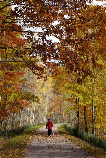 Autumn on the Betsie Valley Trail: D-158